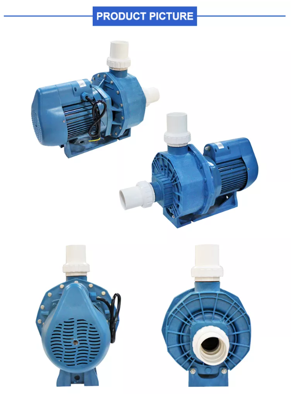 Swimming Pool Pump Suppliers