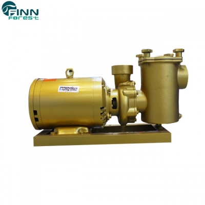 Commercial Brass High Quality Pool Pump