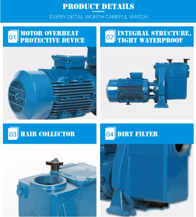 Pool Pump Wholesale