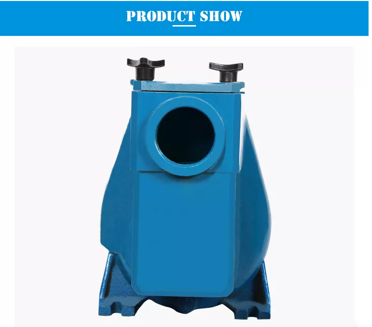 Pool Pump Wholesale