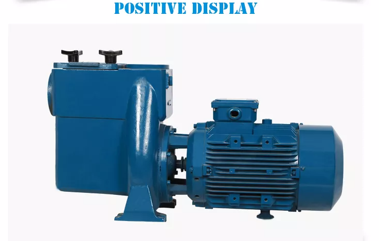Pool Pump Wholesale