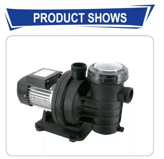 Pool Pump Wholesale