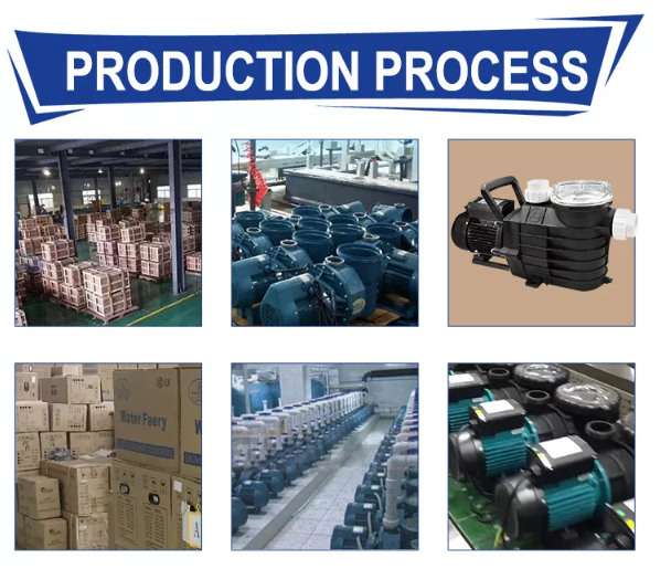 Pool Pump Wholesale