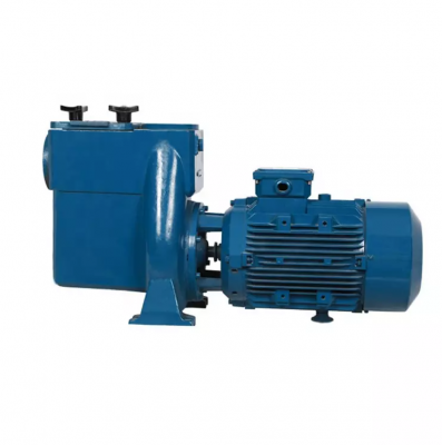 Swimming Pool Pump Supplier