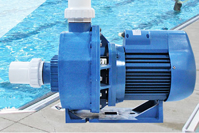 Where to Buy Pool Pump?