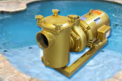 Why You Should Replace Your Old Swimming Pool Pump?